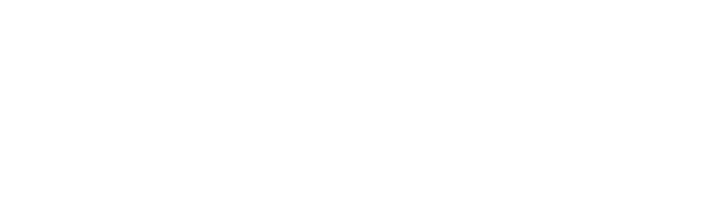 2020 vision logo